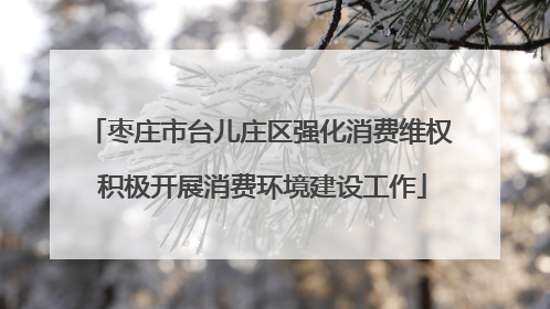 枣庄市台儿庄区强化消费维权 积极开展消费环境建设工作