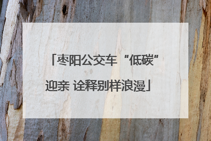 枣阳公交车“低碳”迎亲 诠释别样浪漫