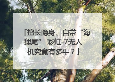 擅长隐身、自带“海狸尾” 彩虹-7无人机究竟有多牛？