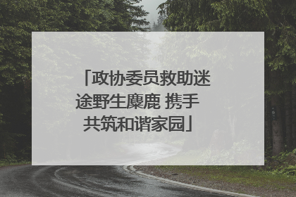 政协委员救助迷途野生麋鹿 携手共筑和谐家园