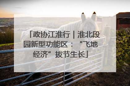 政协江淮行｜淮北段园新型功能区：“飞地经济”拔节生长