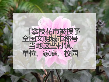 攀枝花市被授予全国文明城市称号 当地这些村镇、单位、家庭、校园也是全国文明！