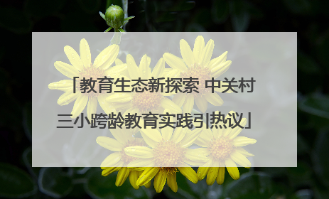 教育生态新探索 中关村三小跨龄教育实践引热议