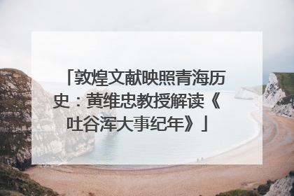 敦煌文献映照青海历史：黄维忠教授解读《吐谷浑大事纪年》