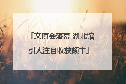 文博会落幕 湖北馆引人注目收获颇丰