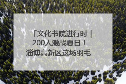文化书院进行时｜200人激战夏日！淄博高新区这场羽毛球比赛太酷