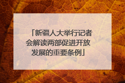 新疆人大举行记者会解读两部促进开放发展的重要条例