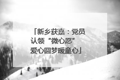 新乡获嘉：党员认领“微心愿” 爱心圆梦暖童心