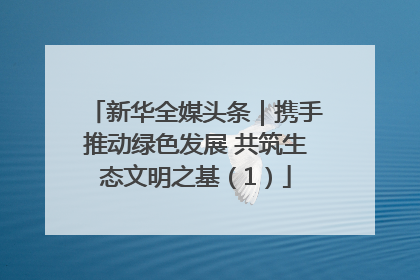 新华全媒头条｜携手推动绿色发展 共筑生态文明之基（1）