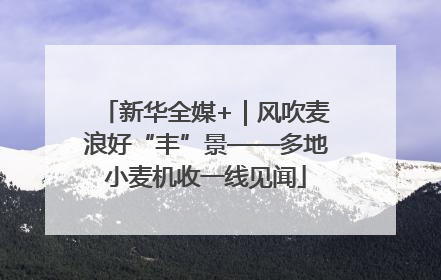 新华全媒+｜风吹麦浪好“丰”景——多地小麦机收一线见闻