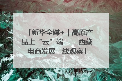 新华全媒+｜高原产品上“云”端——西藏电商发展一线观察