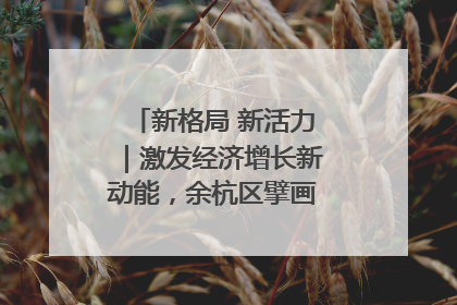新格局 新活力｜激发经济增长新动能，余杭区擘画消费市场新布局