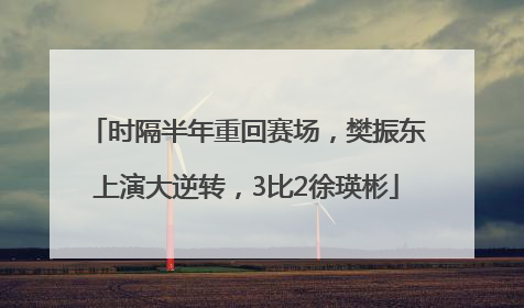时隔半年重回赛场，樊振东上演大逆转，3比2徐瑛彬