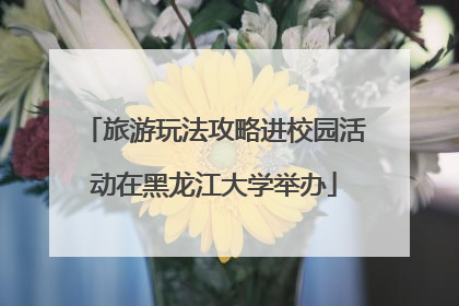 旅游玩法攻略进校园活动在黑龙江大学举办