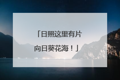 日照这里有片向日葵花海！