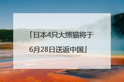日本4只大熊猫将于6月28日送返中国