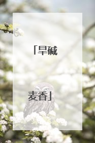 旱碱麦香