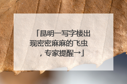 昆明一写字楼出现密密麻麻的飞虫，专家提醒→