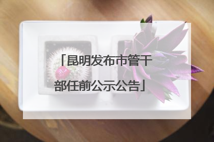 昆明发布市管干部任前公示公告