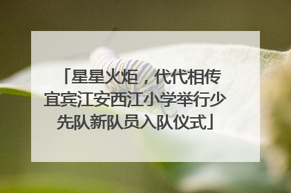 星星火炬，代代相传 宜宾江安西江小学举行少先队新队员入队仪式