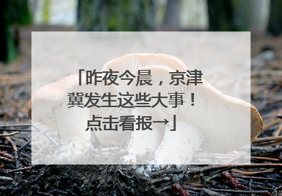 昨夜今晨，京津冀发生这些大事！点击看报→