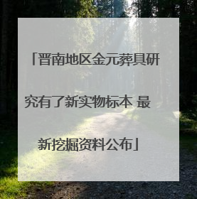 晋南地区金元葬具研究有了新实物标本 最新挖掘资料公布