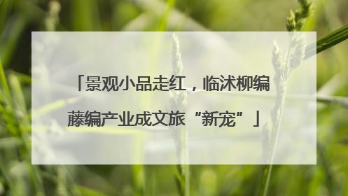 景观小品走红，临沭柳编藤编产业成文旅“新宠”
