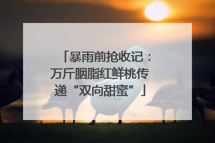 暴雨前抢收记：万斤胭脂红鲜桃传递“双向甜蜜”