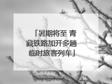 暑期将至 青藏铁路加开多趟临时旅客列车