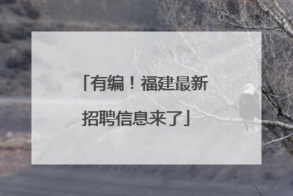 有编！福建最新招聘信息来了