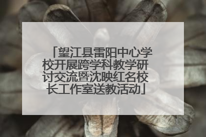 望江县雷阳中心学校开展跨学科教学研讨交流暨沈映红名校长工作室送教活动