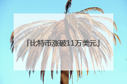 比特币涨破11万美元
