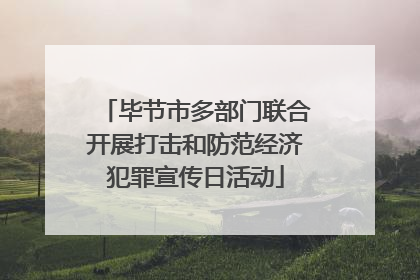 毕节市多部门联合开展打击和防范经济犯罪宣传日活动