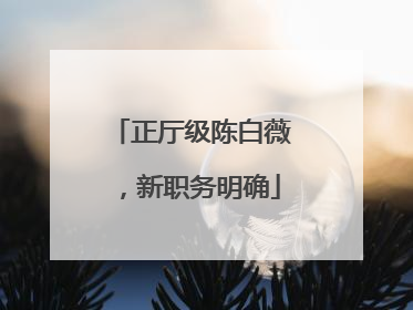 正厅级陈白薇，新职务明确