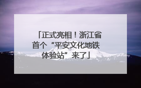 正式亮相！浙江省首个“平安文化地铁体验站”来了