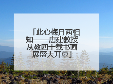 此心梅月两相知——唐建教授从教四十载书画展盛大开幕