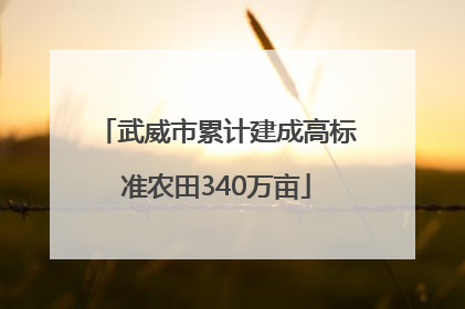 武威市累计建成高标准农田340万亩