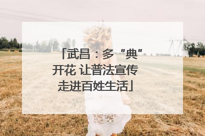 武昌：多“典”开花 让普法宣传走进百姓生活