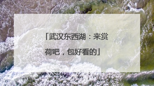 武汉东西湖：来赏荷吧，包好看的