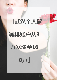 武汉个人碳减排账户从3万暴涨至160万