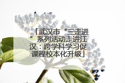 武汉市“三走进”系列活动走进江汉：跨学科学习促课程校本化升级