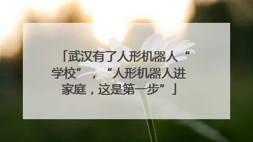 武汉有了人形机器人“学校”，“人形机器人进家庭，这是第一步”
