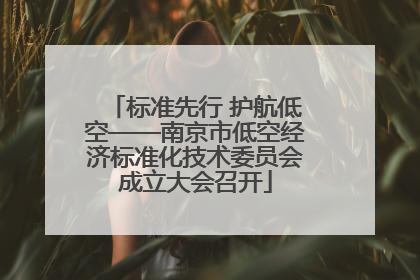 标准先行 护航低空——南京市低空经济标准化技术委员会成立大会召开