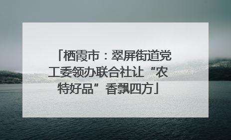栖霞市：翠屏街道党工委领办联合社让“农特好品”香飘四方