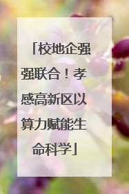 校地企强强联合！孝感高新区以算力赋能生命科学