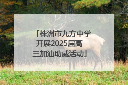株洲市九方中学开展2025届高三加油助威活动