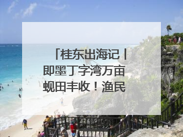 桂东出海记丨即墨丁字湾万亩蚬田丰收！渔民泥里挖蚬，一天上岸过千斤