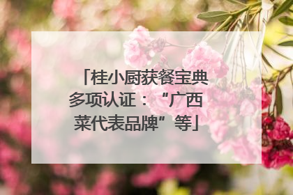 桂小厨获餐宝典多项认证：“广西菜代表品牌”等