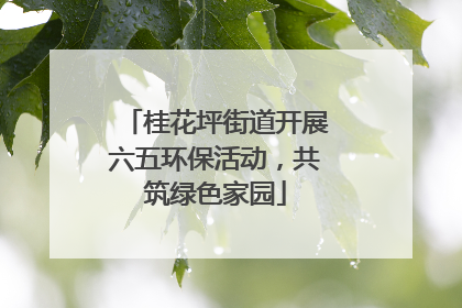 桂花坪街道开展六五环保活动，共筑绿色家园