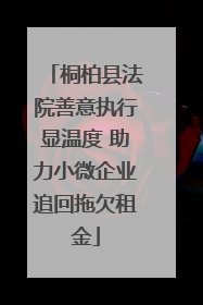 桐柏县法院善意执行显温度 助力小微企业追回拖欠租金